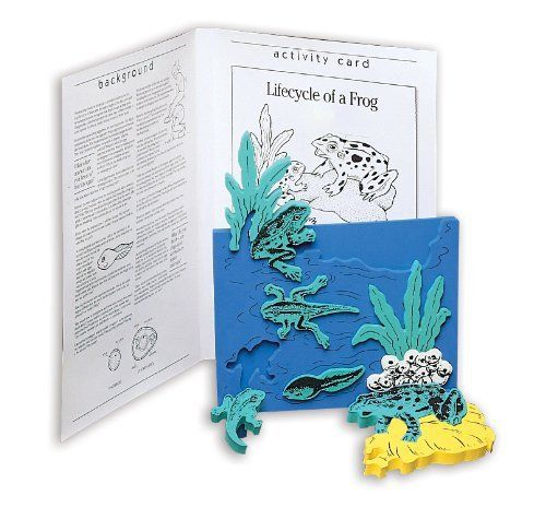 Book Plus Frog Life Cycle Foam Model  10&#034; x 14.5&#034; x 0.75&#034; Size