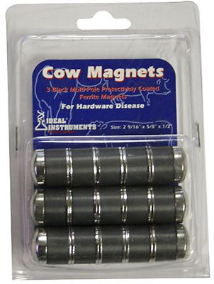 NEOGEN CORPORATION Cow Magnets, 0.75 x 2.75-In., 3-Pk.