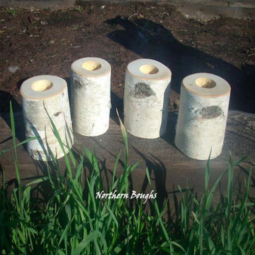 4 White Birch Wedding Candles