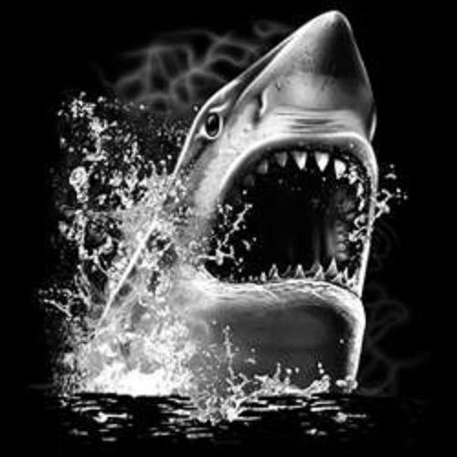 White Shark Bite HEAT PRESS TRANSFER for T Shirt Sweatshirt Quilt Fabric 252o