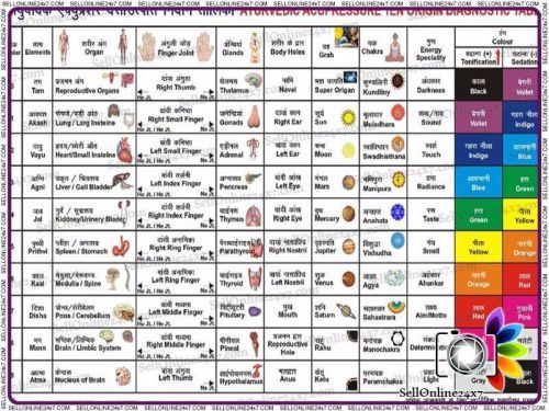 Acupressure Ayurvedic 10Origin Diagnostic Table Chart Quick Teaching Educational