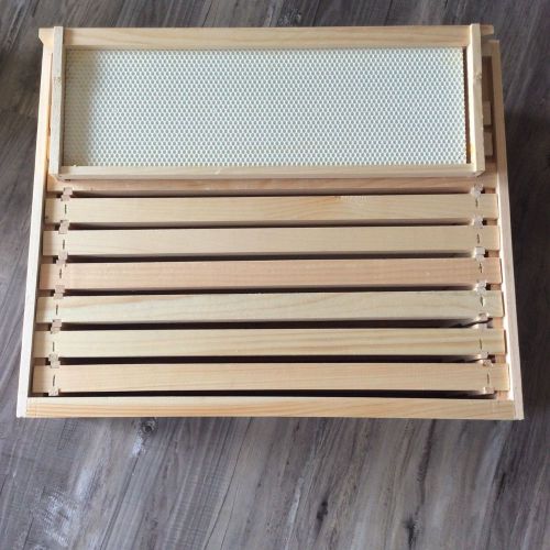 10 frame shallow honey super for sale