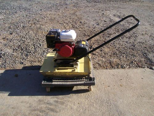 Wacker Plate Tamp