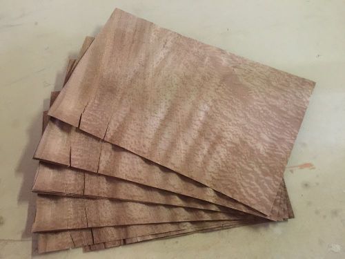 Wood Veneer Pommele Sapele 17x10 16pcs total Raw Veneer  &#034;EXOTIC&#034; PS4 5-13-15