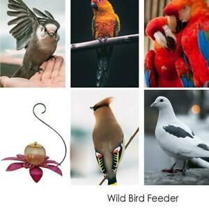 1Pc Birds Feeder Wild Bird Feeder Gazebo Hummingbird Feeder