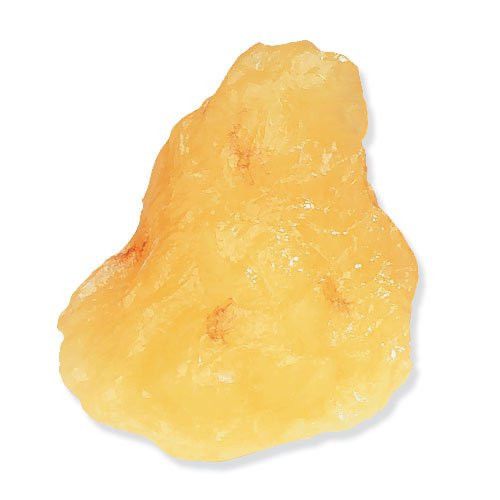 1Lb Fat Model Replica School Classroom Teacher Educational Science Health Body