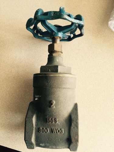 2&#034; AMERICAN VALVE BRASS GATE VALVE 300# WOG NON RISING STEM THREADED FEMALE