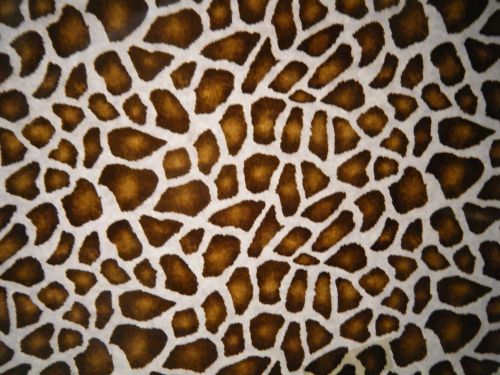 Giraffe hydrographic film for sale