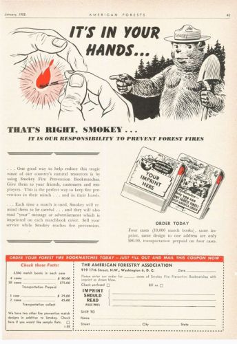 1955 american forest service fire matchs lumber tree smokey the bear campaign for sale
