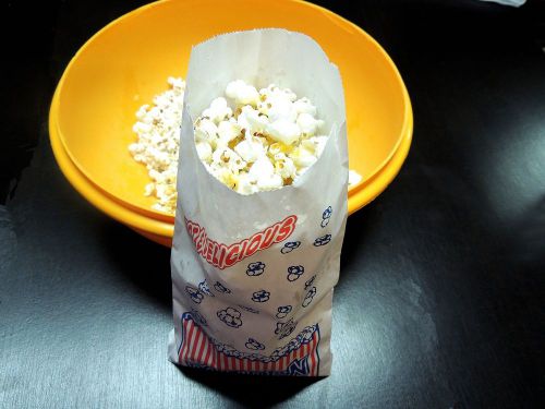 25 popcorn bags, concession bags, grease resistant bags, food safe treat bags for sale