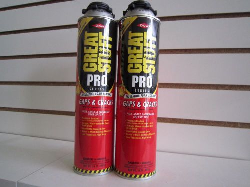 Insulating Foam Sealant Gaps &amp; Cracks (DOW)