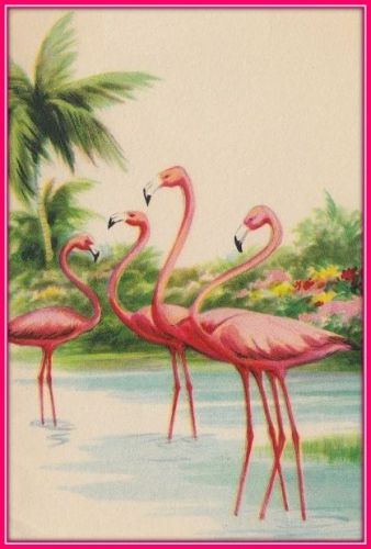 30 Custom Vintage Flamingo Art Personalized Address Labels