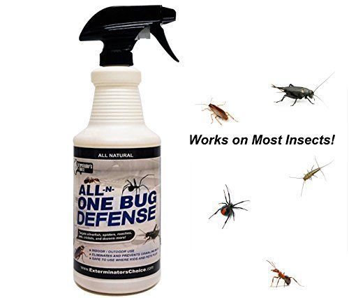 All-N-One Bug Defense 32oz Spray Bottle from Exterminators Fish, &amp;many more