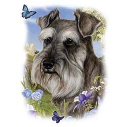 Schnauzer Dog Floral HEAT PRESS TRANSFER for T Shirt Sweatshirt Fabric 905c