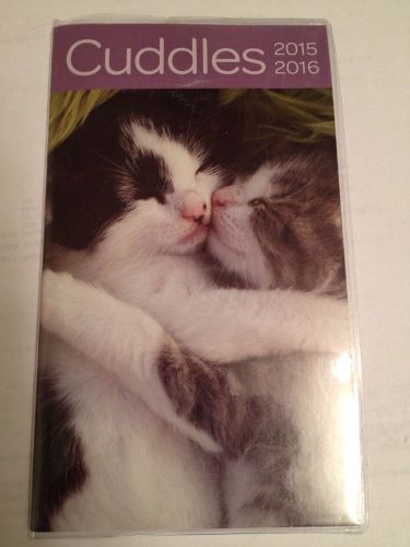 New 2 Year 2015-2016 Pocket Monthly Planner Calendar Organizer Cuddly Kittens