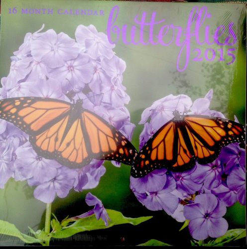 2015 16 Month BUTTERFLIES 12x12 Nature Wall Calendar NEW/SEALED