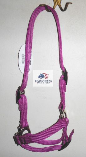 Weaver purple nylon sheep halter  ~NWT!~