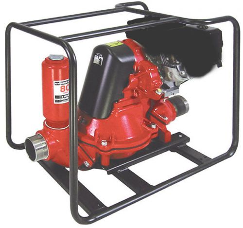 Riverside Diaphragm 3 inch Pump