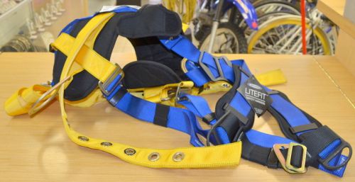 Werner H321004 LITEFIT Climbing Harness, Pass Through Legs (XL)