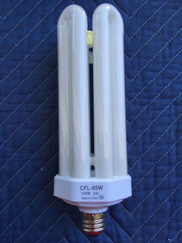 Fluorescent Replacement Lamp 65-Watt * Lithonia Lighting