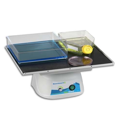 Benchmark scientific bt30-e orbi-blotter with flat mat platform, 230v for sale