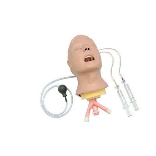 Brand New Life/form Advanced Airway Larry Trainer Head #LF03684U