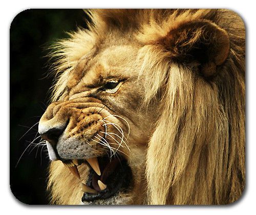 Wildlife Animal King Jungle Lion Roar Mouse Pad Mousepad Mat
