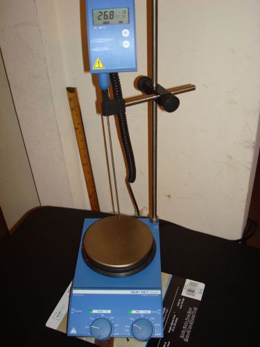 IKA Werke RET Basic Hot Plate Magnetic Stirrer RET B S1 with probe ETS-D4 Fuzzy