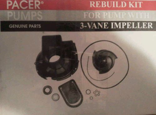 Pacer pump rebuild kit