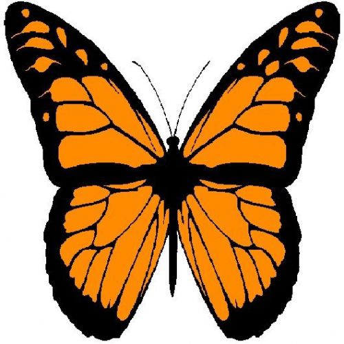 30 Custom Orange Monarch Butterfly Personalized Address Labels