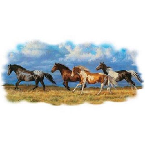 Wild Horse Prairie HEAT PRESS TRANSFER for T Shirt Sweatshirt Tote Fabric 240g