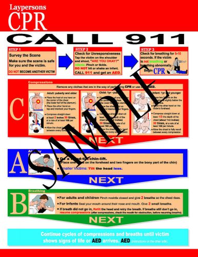 CPR Reference Chart for Layrescuers