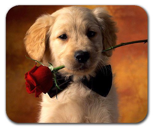 Adorable Puppy Dog Flower Love Red Romantic Rose Bowtie Mouse Pad Mousepad Mat