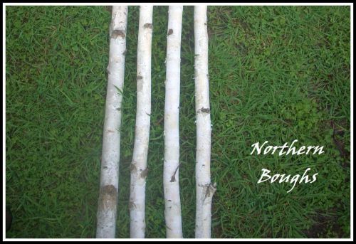 White Birch Poles 7&#039;