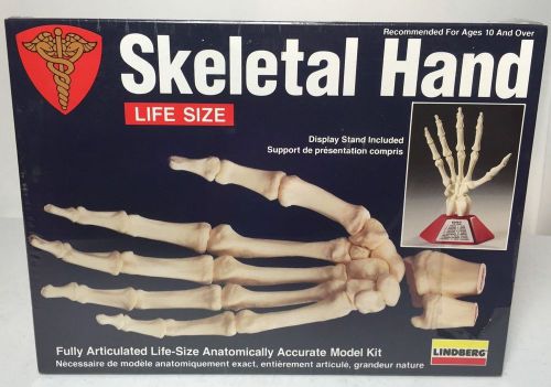 LINDBERG SCIENCE KIT FULLY ARTICULATED LIFE SIZE SKELETAL HAND MODEL KIT BNIB