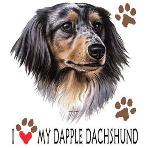 Love my dapple dachshund dog heat press transfer for t shirt bag sweatshirt 836b for sale