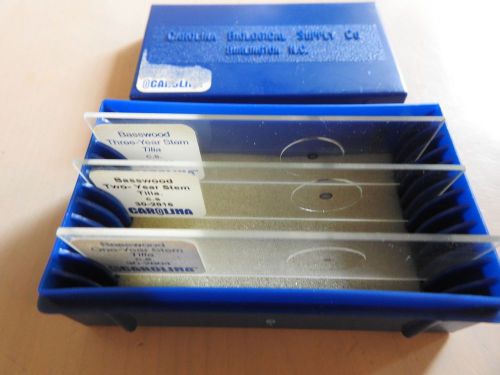 Basswood Stem Cross-Sections Microscope Slide Set - 1-,2-, &amp; 3-Year