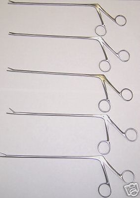 6 Alligator Forceps 5.5&#034; Surgical Veterinary Instrument