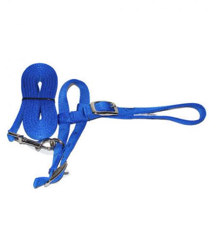 Sheep Blue Halter