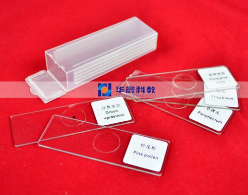 5pcs Glass Student Educational Lab Bio-Microscope Slides Prepared Specimen