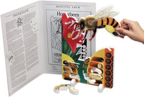 Book Plus Bee Life Cycle Foam Model  10&#034; x 14.5&#034; x 0.75&#034; Size