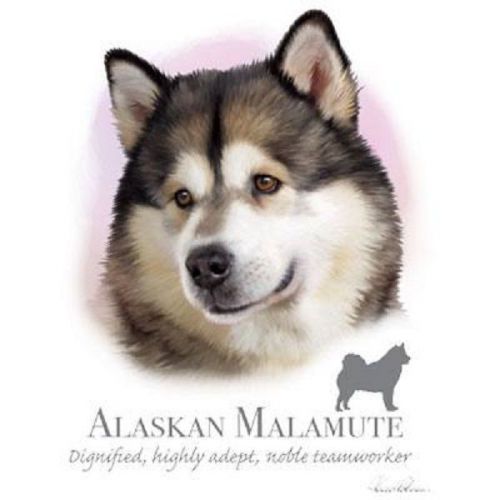 Alaskan malamute dog heat press transfer t shirt sweatshirt fabric print  802d for sale