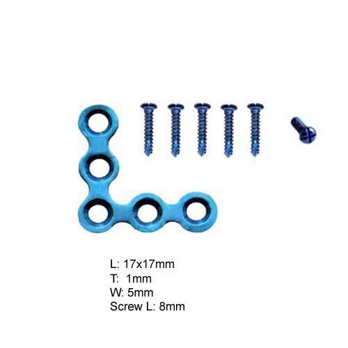 Maxillofacial Adaption &amp; Fragment Titanium Plates Mini Screws Bone implants