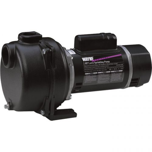 Wayne Cast Iron Lawn Sprinkler Pump-5560 GPH 2 HP 2in #WLS200