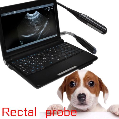 Full digital laptop vet ultrasound scanner + rectal probe + external 3d fda for sale