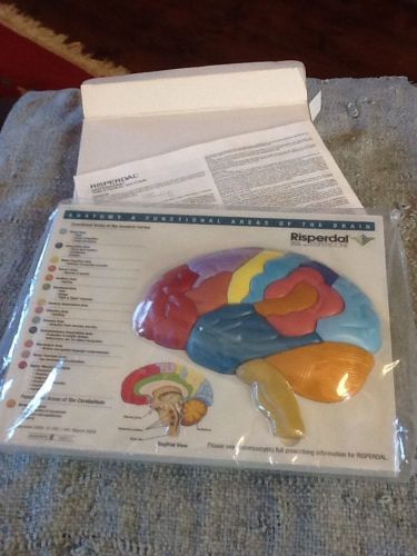 Risperdal brain model