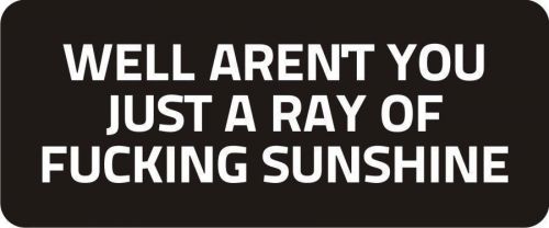 3 - Ray Of Sunshine Hard Hat Biker Helmet Sticker Bs569 3