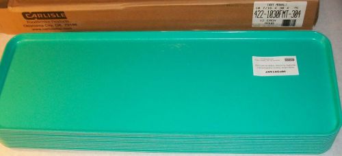 NEW CASE OF 12 CARLISLE AQUA MARKET TRAYS 30&#034;x10&#034; DOUGHNUTS/ DELI/ FOOD/ SERVING