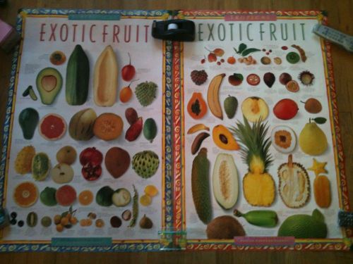 Tropical exotic fruit poster &amp; subtropical print! norman van aken lot of 2! for sale