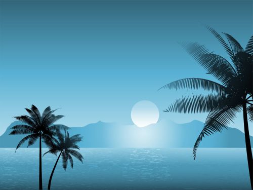30 personalized return address beach palm trees buy 3 get 1 free (bp54) for sale